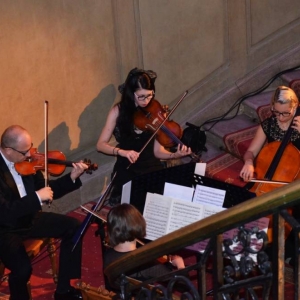 Zdjęcie przedstawia artystów występujących podczas koncertu pt. Antonio Vivaldi - Cztery Pory Roku w Pałacu Kawalera w Świerklańcu