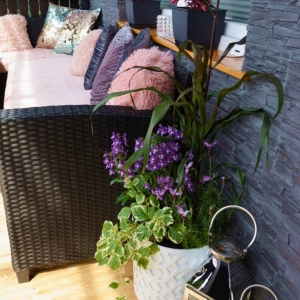Zdjęcia przedstawiają balkon który zdobył I miejsce