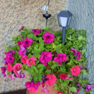 Zdjęcia przedstawiają balkon który zdobył I miejsce