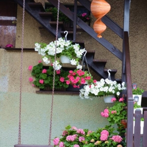 Zdjęcia przedstawiają balkon który zdobył I miejsce