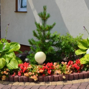 Zdjęcia przedstawiają ogród który zdobył II miejsce
