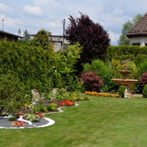Zdjęcia przedstawiają ogród który zdobył II miejsce