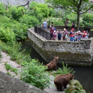 Zdjęcie przedstawia  uczestników półkolonii podczas wycieczki do ZOO w Chorzowie