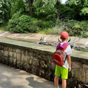 Zdjęcie przedstawia uczestników półkolonii podczas wizyty w chorzowskim ZOO