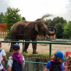Zdjęcie przedstawia uczestników półkolonii podczas wizyty w chorzowskim ZOO
