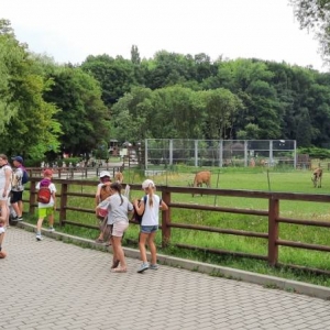 Zdjęcie przedstawia uczestników półkolonii podczas wizyty w chorzowskim ZOO