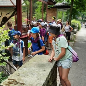 Zdjęcie przedstawia uczestników półkolonii podczas wizyty w chorzowskim ZOO