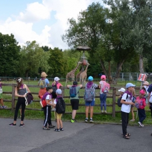 Zdjęcie przedstawia uczestników półkolonii w ZOO w Chorzowie