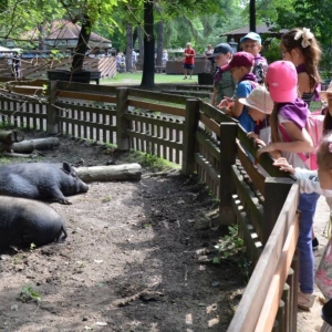 Zdjęcie przedstawia uczestników półkolonii w ZOO w Chorzowie