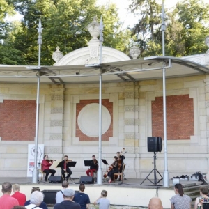 Zdjęcie przedstawia Kwintet Śląskich Kameralistów podczas koncertu
