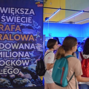 Zdjęcie przedstawia uczestników półkolonii II turnusu w trakcie wycieczki na wystawę klocków LEGO podczas zwiedzania i wspólnej zabawy.