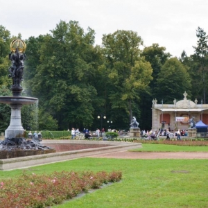 Krajobraz parku