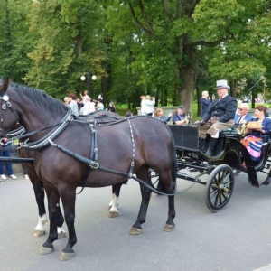 Przemarsz korowodu dożynkowego