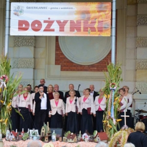 Występ artystyczny podczas dożynek