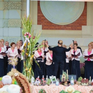 Występ artystyczny podczas dożynek