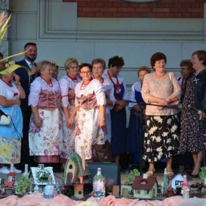 Występ artystyczny podczas dożynek