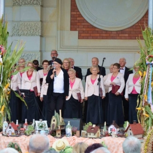 Występ artystyczny podczas dożynek