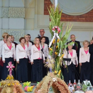 Występ artystyczny podczas dożynek