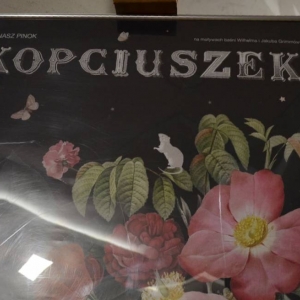 Wycieczka do Teatru Lalki i Aktora ATENEUM w Katowicach na spektakl pt. Kopciuszek