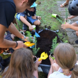 Rodzinne przygotowanie sadzonki drzewa do posadzenia we własnym ogródku
