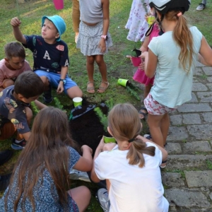 Rodzinne przygotowanie sadzonki drzewa do posadzenia we własnym ogródku
