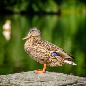 Fotografia wykonana przez uczestniczkę pleneru artystycznego