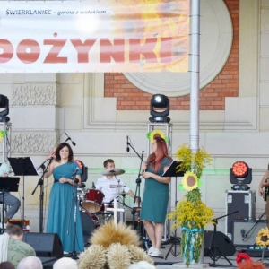 Zdjęcie przedstawia zespół The Neighbors