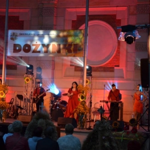 Zdjęcie przedstawia występ zespołu Arkadia Band