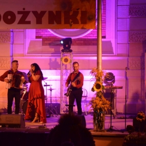 Zdjęcie przedstawia występ zespołu Arkadia Band