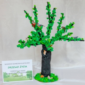 Praca konkursowa - Drzewo Życia