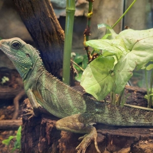 Wycieczka do ZOO w Chorzowie