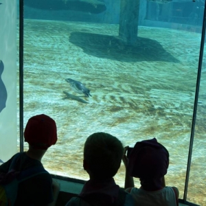Wycieczka do ZOO w Chorzowie