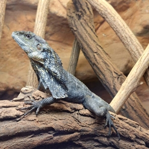 Wycieczka do ZOO w Chorzowie