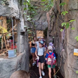 Wycieczka do ZOO w Chorzowie