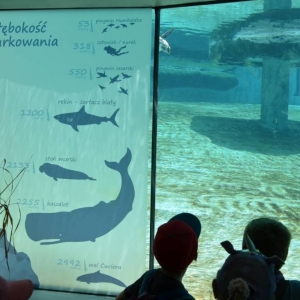Wycieczka do ZOO w Chorzowie