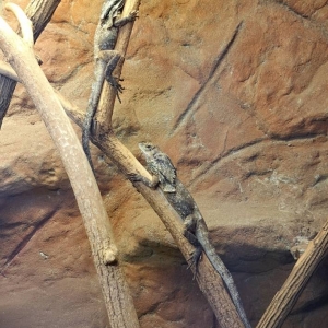 Wycieczka do ZOO w Chorzowie