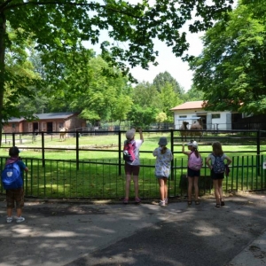 Wycieczka do ZOO w Chorzowie