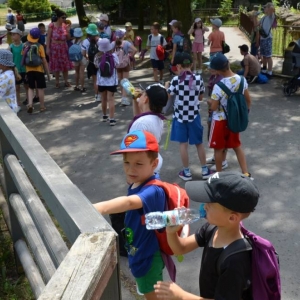 Wycieczka do ZOO w Chorzowie