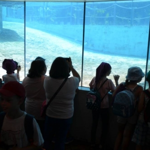 Wycieczka do ZOO w Chorzowie