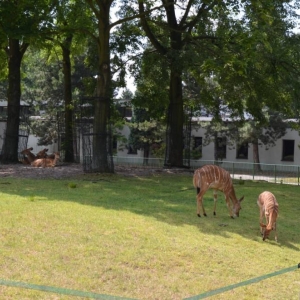 Wycieczka do ZOO w Chorzowie