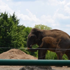 Wycieczka do ZOO w Chorzowie