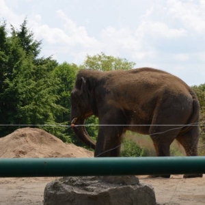 Wycieczka do ZOO w Chorzowie