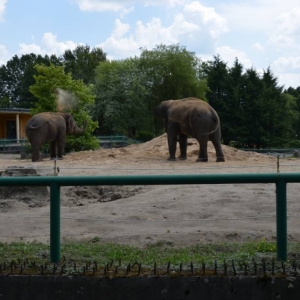 Wycieczka do ZOO w Chorzowie