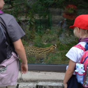 Wycieczka do ZOO w Chorzowie
