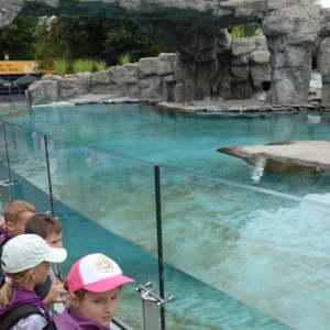 Wycieczka do ZOO w Chorzowie
