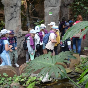 Wycieczka do ZOO w Chorzowie