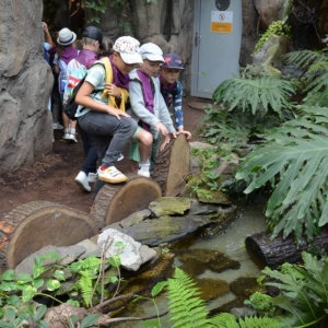 Wycieczka do ZOO w Chorzowie