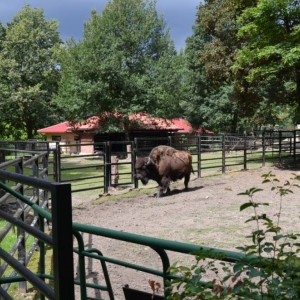 Wycieczka do ZOO w Chorzowie