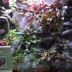 Wycieczka do ZOO w Chorzowie