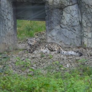 Wycieczka do ZOO w Chorzowie